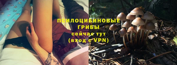 бошки Ростов