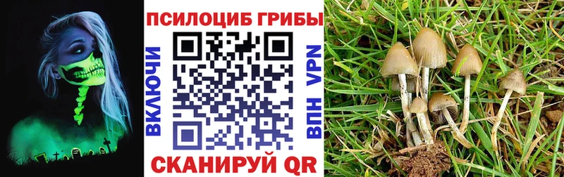 Галлюциногенные грибы GOLDEN TEACHER  блэк спрут зеркало  Чадан 